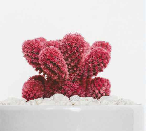 电话连环呼叫软件