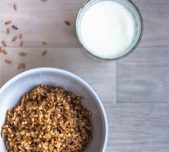 求指点在线短信验证码接收